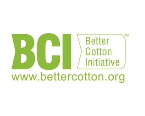BCI