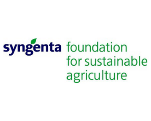 Syngenta Foundation