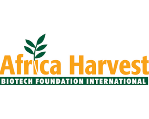 Africa Harvest
